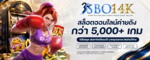 SBO14K ฝากถอนทรูวอลเล็ต